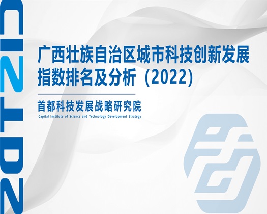 被操高操网站【成果发布】广西壮族自治区城市科技创新发展指数排名及分析（2022）